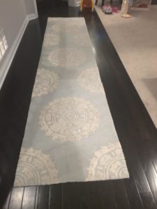 Photo of long narrow carpet on dark wood. This carpet separates room and location of toys.